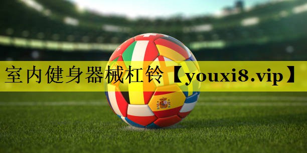 室内健身器械杠铃 室内健身器械杠铃