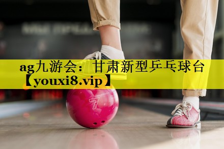 甘肃新型乒乓球台 甘肃新型乒乓球台